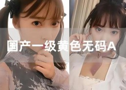 成人三级国产,成人三级教育新篇章