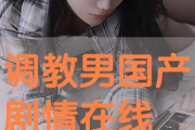 国产调教网站,探索中国网络文化的新领域